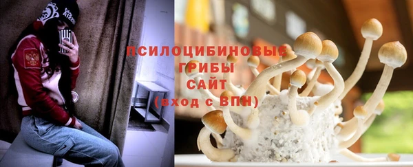 дмт Заволжск