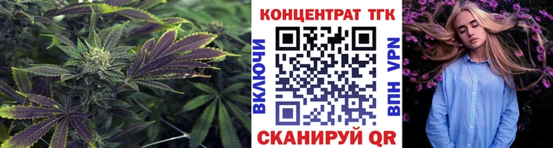 shop телеграм  Шуя  ТГК Wax 