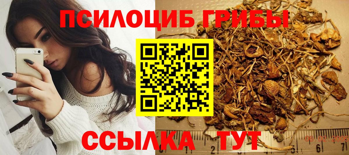 Галлюциногенные грибы прущие грибы  Вход с VPN  где купить   Шуя 